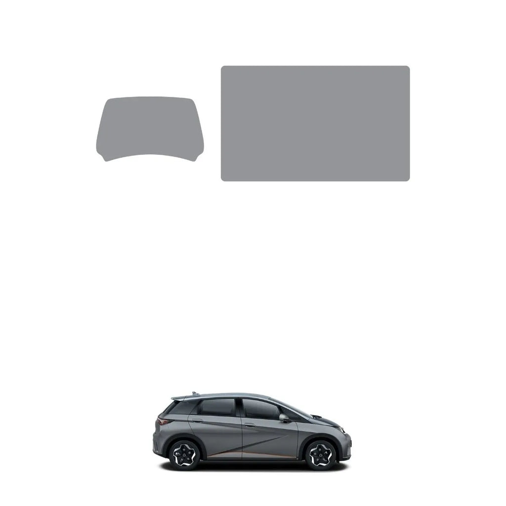 Película PPF Velocímetro e Multimídia BYD Dolphin 2026